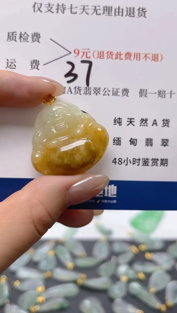 颈饰18K金镶嵌翡翠天然A货翡翠