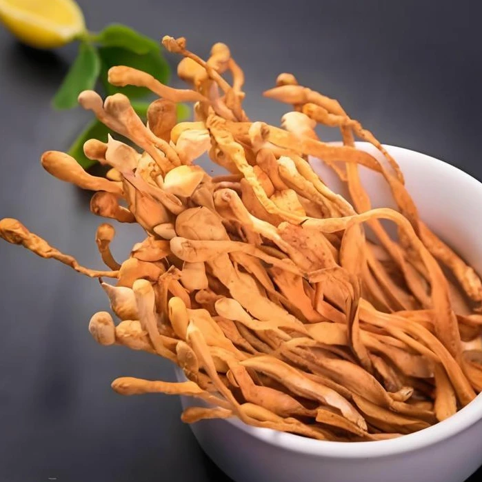 甄选虫草花干货炖鸡煲汤食材菌菇