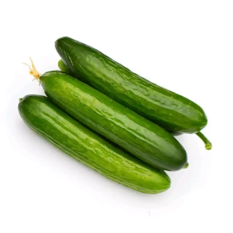 【散】乳黄瓜 约500g±50g/份黄瓜同城送黄瓜同城配