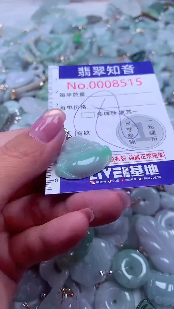 颈饰未镶嵌翡翠8515
