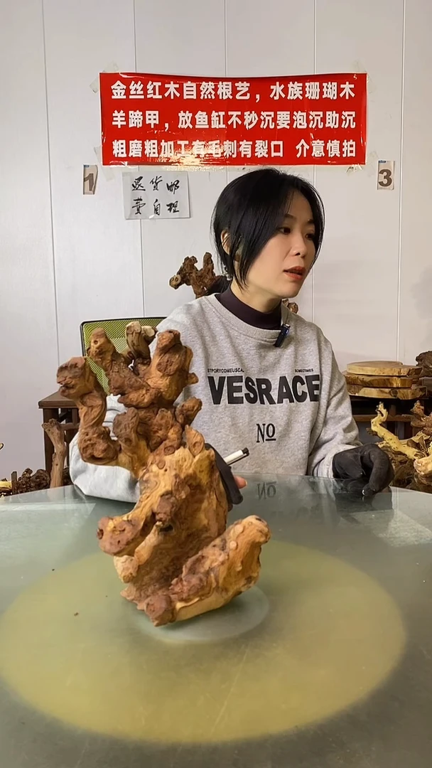 木山*金丝红木  羊蹄甲