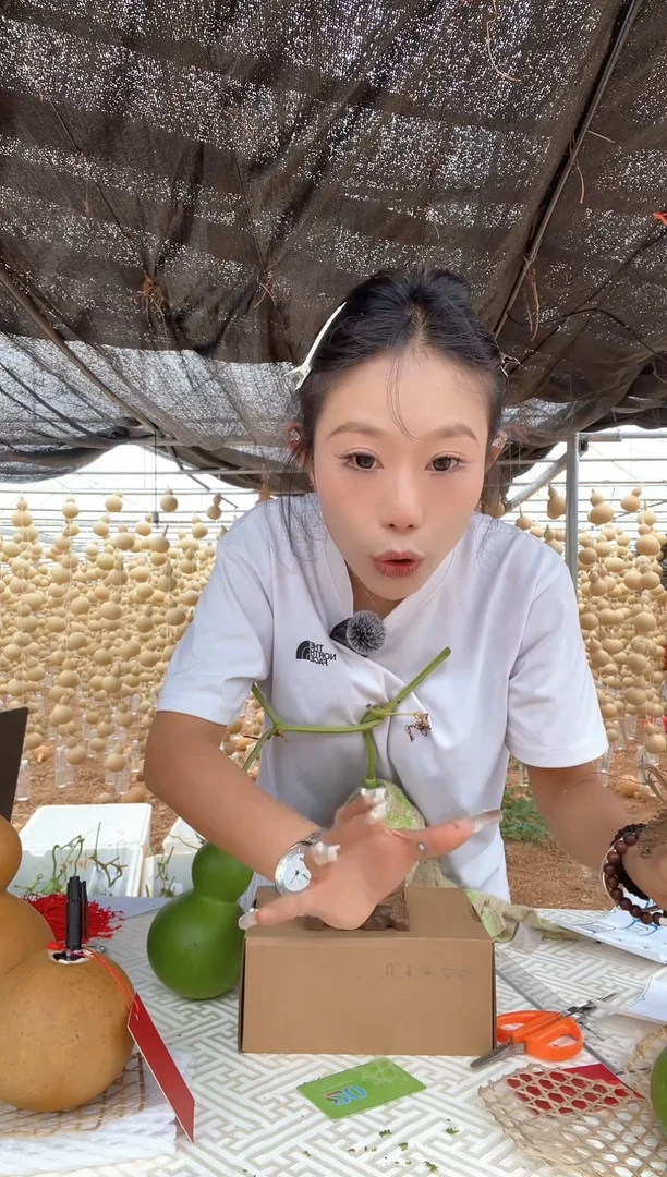 017天然葫芦摆件 一物一拍