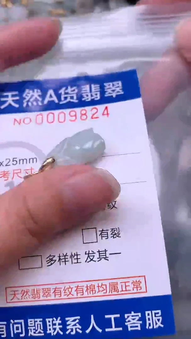 翡翠未镶嵌吊坠(不含链)1