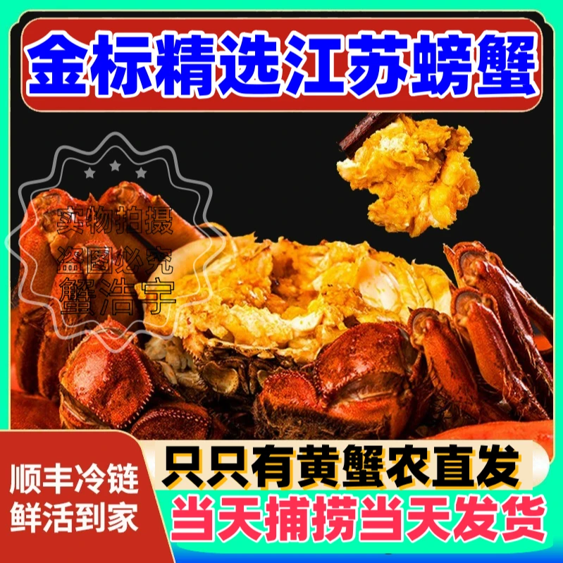 【活蟹现发】8送2到手10只装全母（㍛0-㍛5两）洪泽湖螃蟹礼盒顺丰包邮