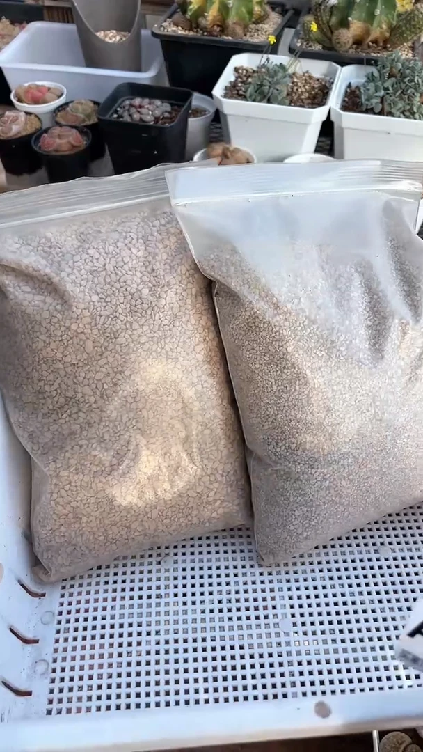 【闪购商品】9903直播一物一拍