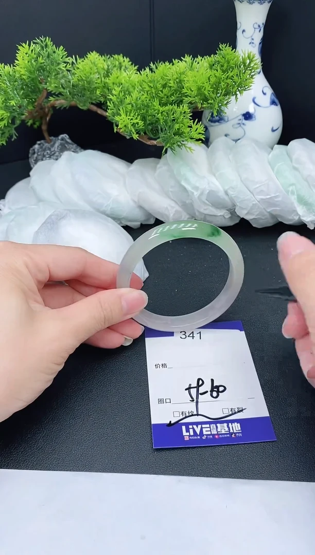 未镶嵌手镯翡翠341