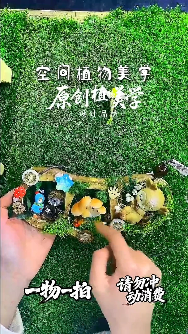 无非金属豆荚娃娃一物一拍