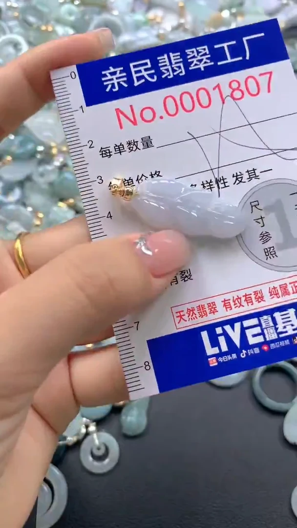 颈饰未镶嵌翡翠1807