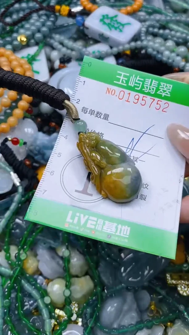 翡翠未镶嵌颈饰闪购0195752