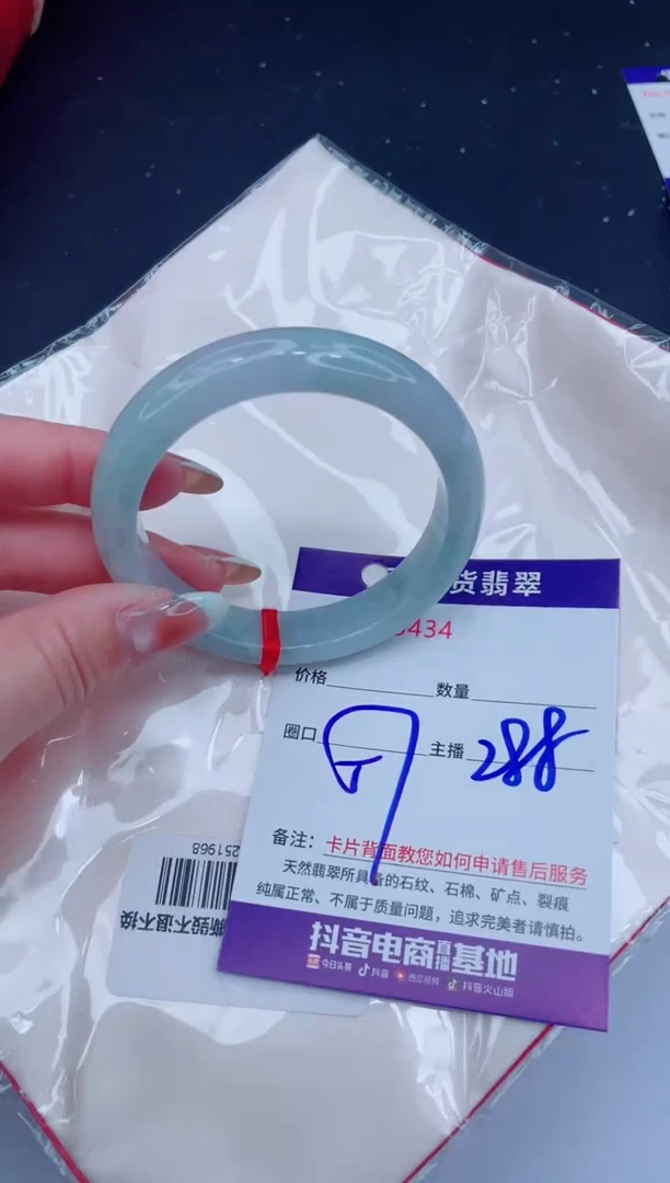 未镶嵌手镯翡翠11