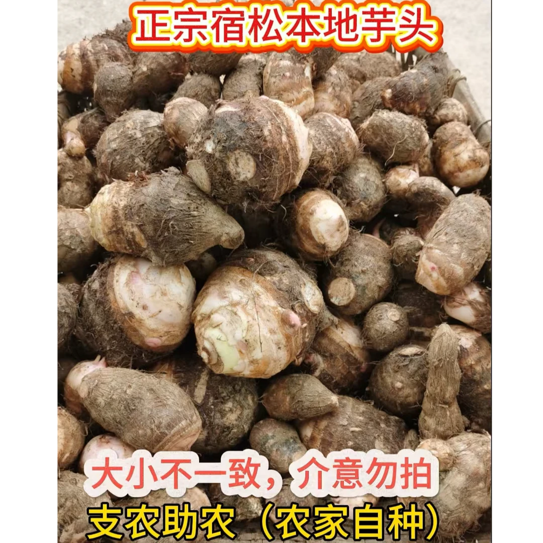 安徽宿松本地芋头支农助农芋头焖饭芋头炖排骨新鲜现挖