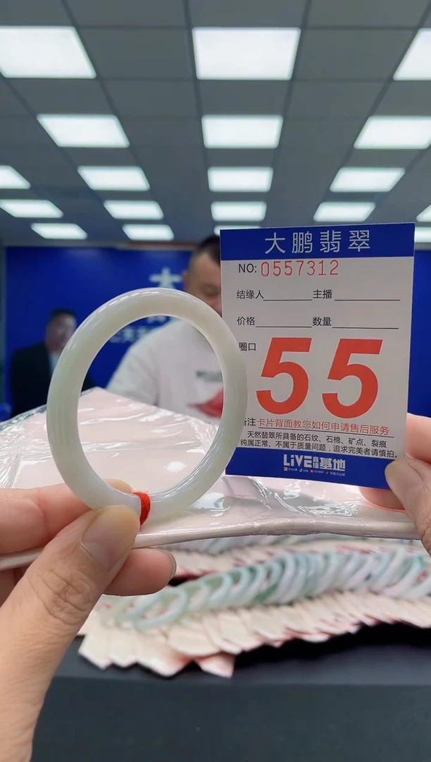 未镶嵌手镯翡翠AAAAAAAAA