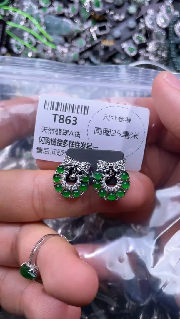 【闪购商品】翡翠颈饰未镶嵌T863耳钉