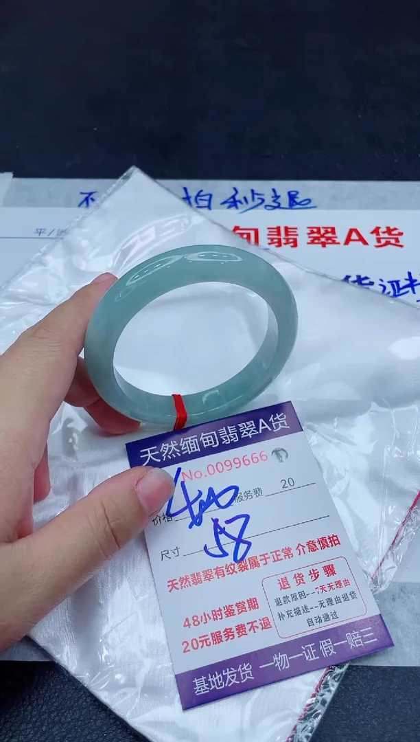 未镶嵌手镯翡翠400.0000