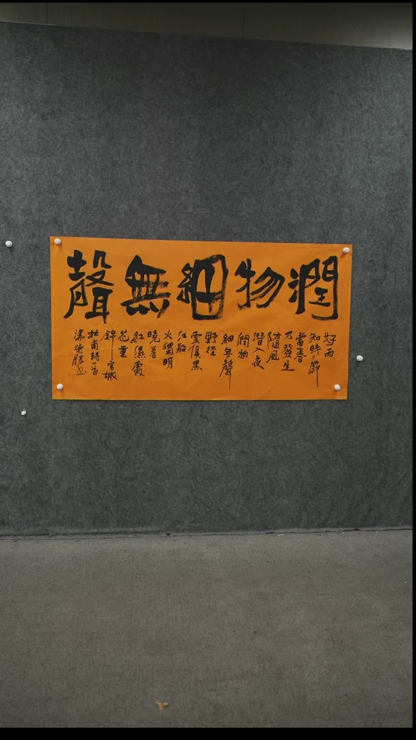 书法书法TDS老师作品