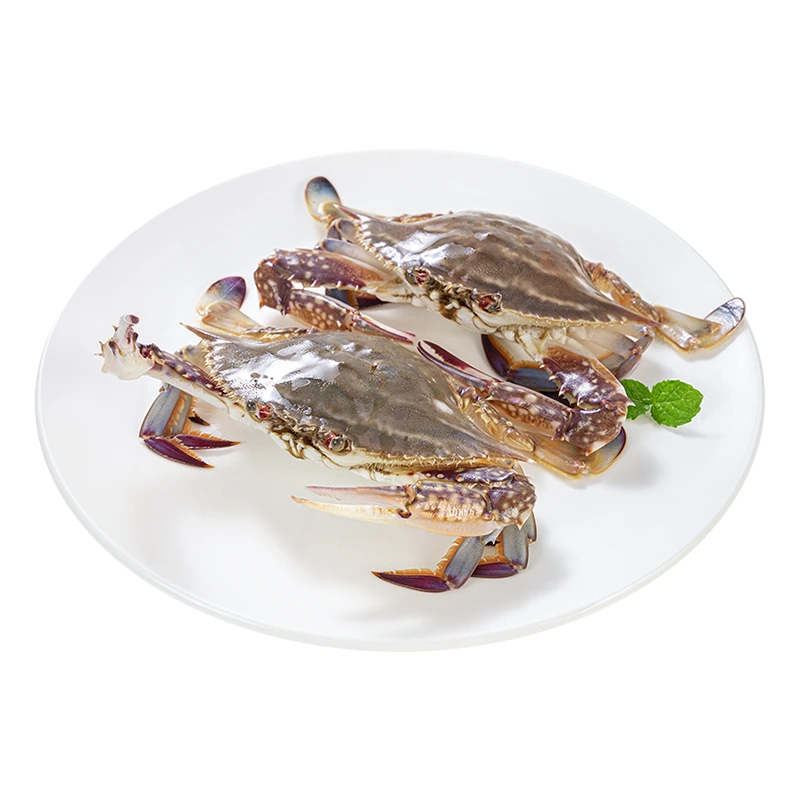 鲜活正蟹梭子蟹470g-500g/份（6只以内）（公母随机发货）