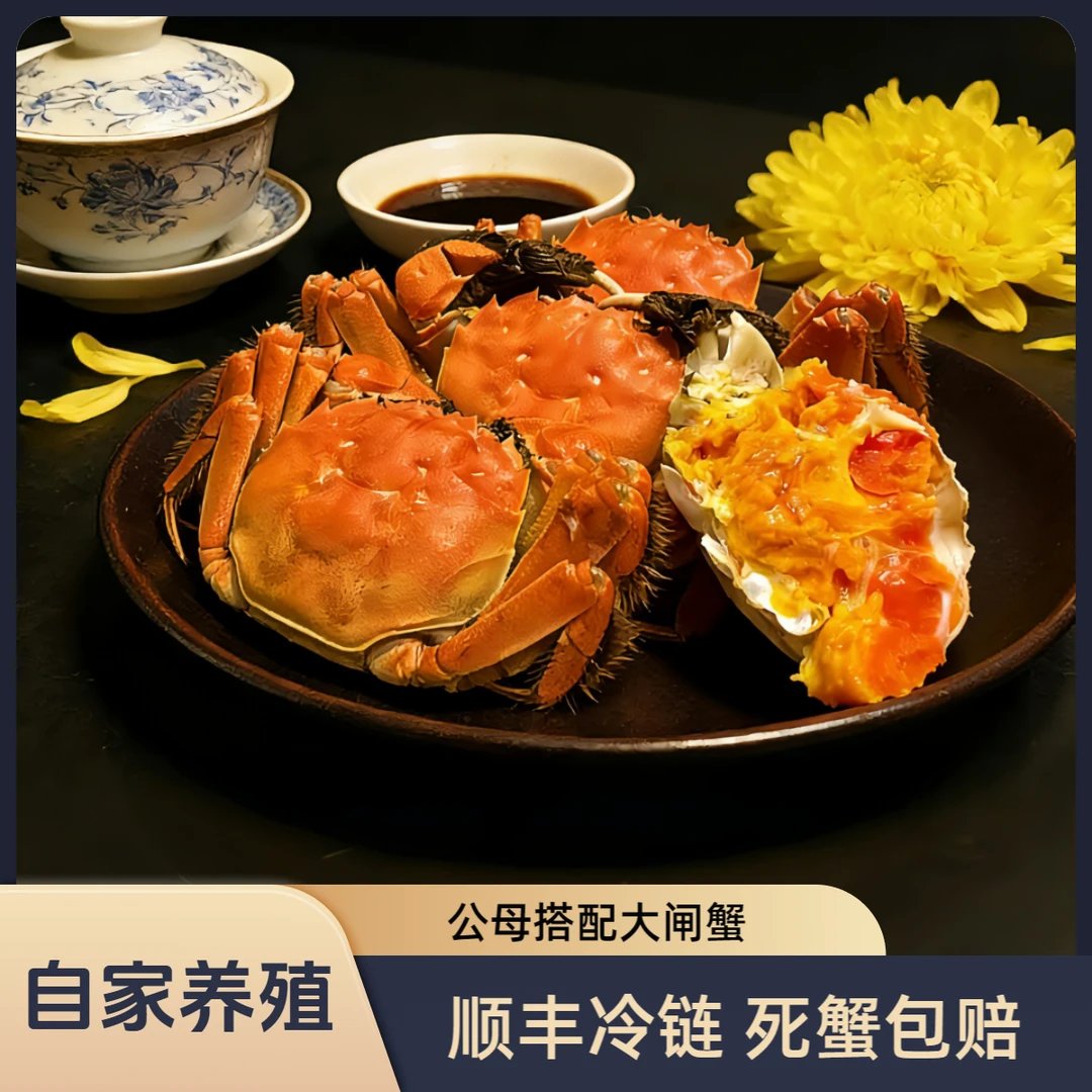 【活蟹】钱将军大闸蟹3.8-4.1两公+2.8-3.1两母大闸蟹 4/5对|去绳净重礼盒顺丰包邮双旦佳节礼品自品皆宜