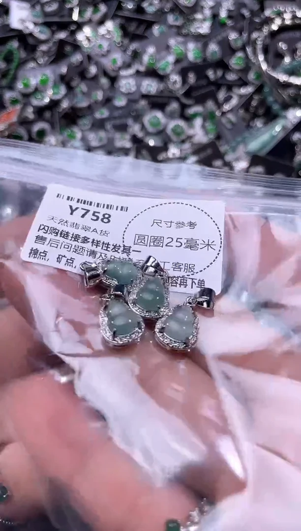 翡翠未镶嵌颈饰Y758多样性发其一