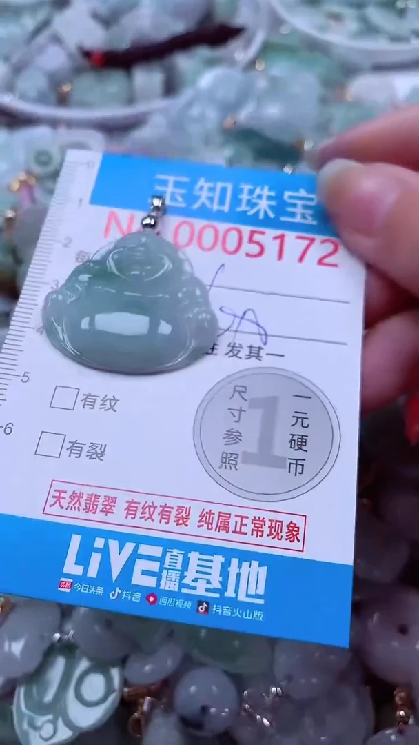 吊坠(不含链)未镶嵌翡翠5172