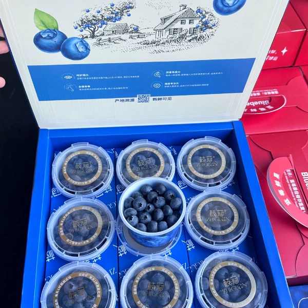 【顺丰包邮】云南枝冠蓝莓15mm＋9盒每盒100克浙江省