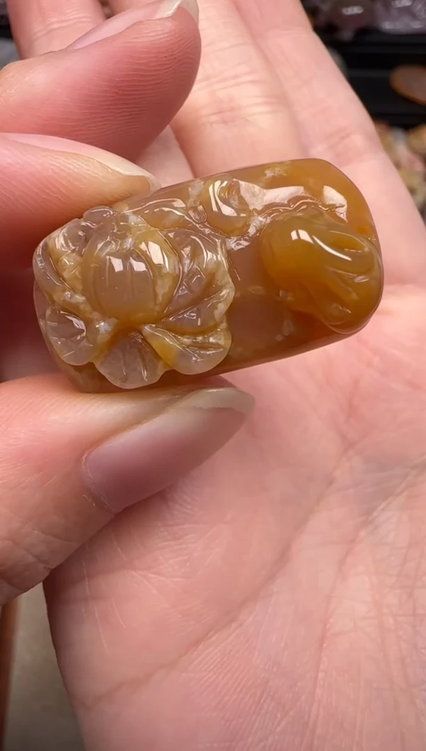 硅化珊瑚（珊瑚玉）未镶嵌颈饰199