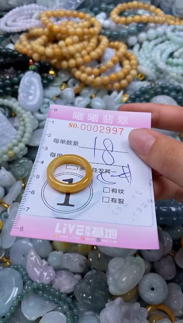 翡翠未镶嵌颈饰闪购0002997