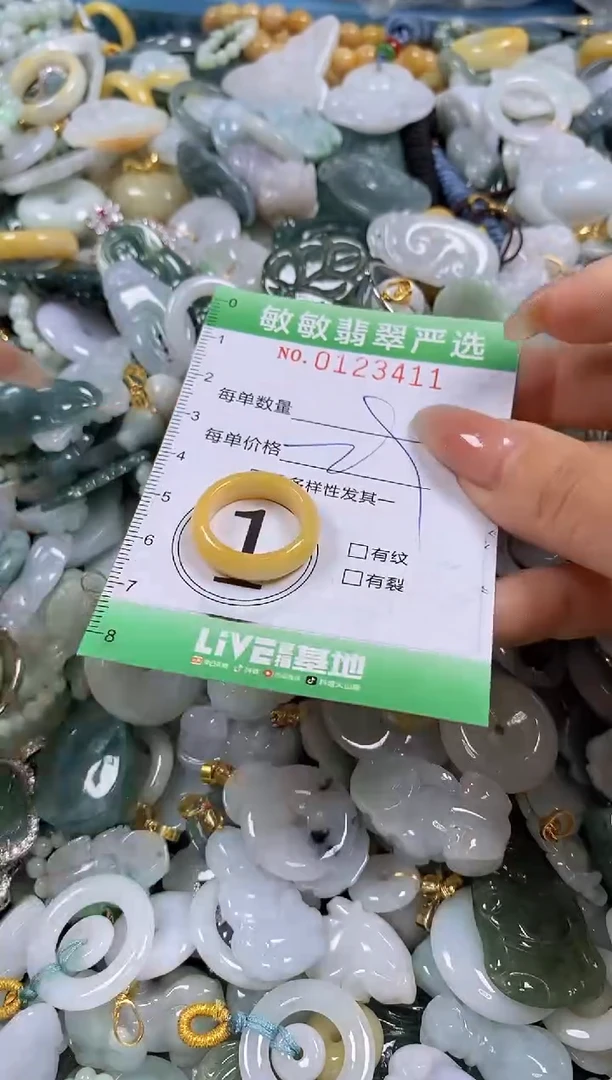 【闪购商品】翡翠颈饰未镶嵌闪购0123411