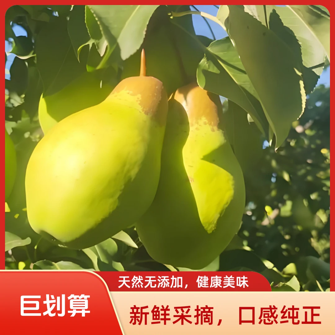 【果园现摘】自产自销梨山自然成长克拉梨软糯香甜（好保存顺丰包邮）