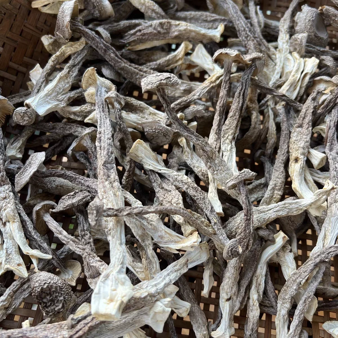 湘西农家自种鹿茸菇干货无硫脆嫩可煲汤可凉拌炒肉的营养食材