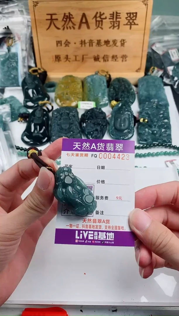 颈饰未镶嵌翡翠 多样性随机一件发货 貔貅38