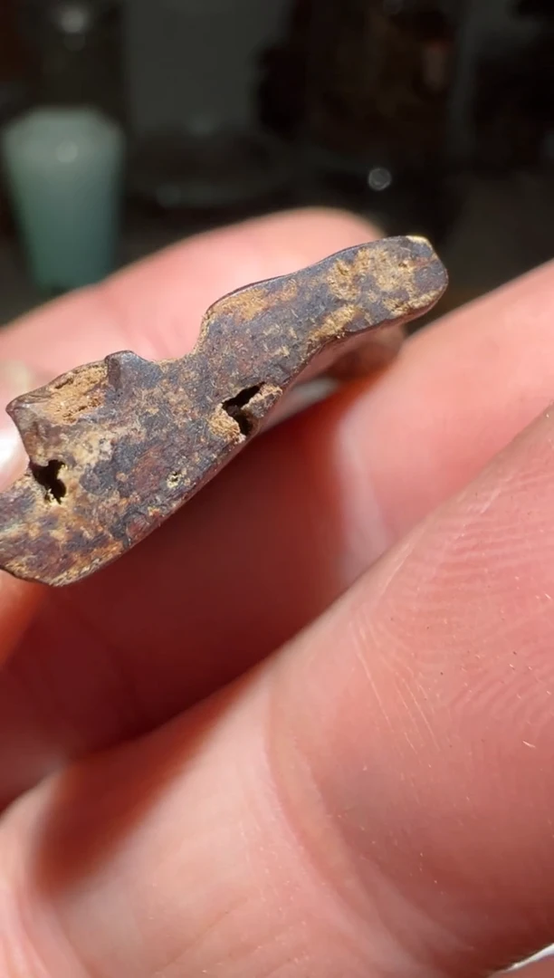 【闪购商品】沉香沉香碎屑文莱2.1克