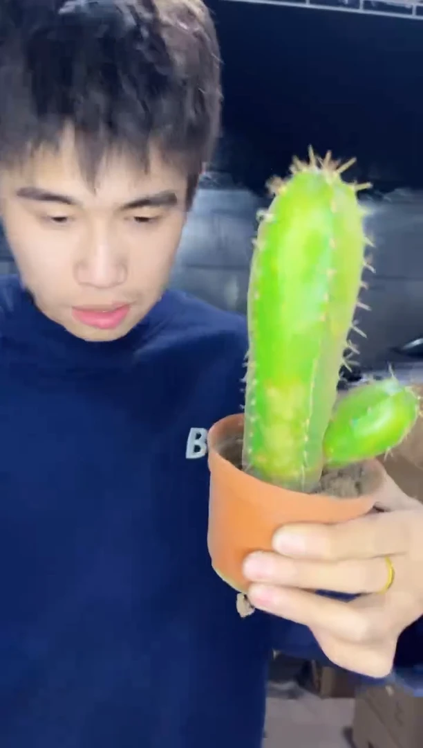 【闪购商品】宇宙殿