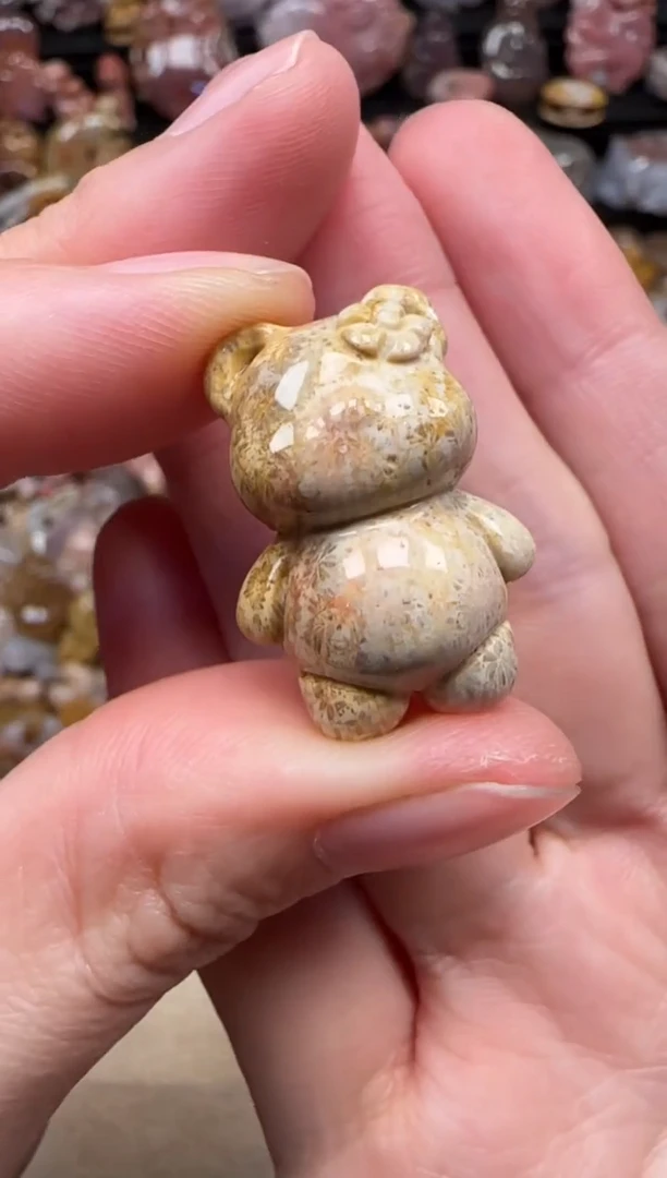 颈饰未镶嵌硅化珊瑚（珊瑚玉）327