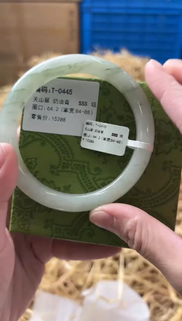 未镶嵌手镯石英质玉T-0445