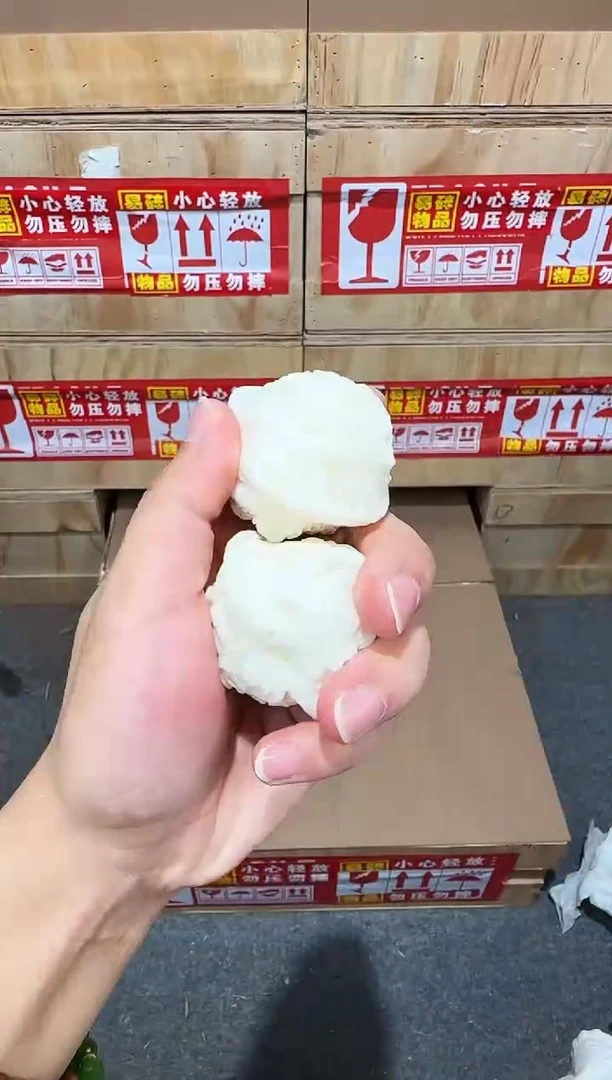 翎光合文玩精品手串-无礼盒-@@g029