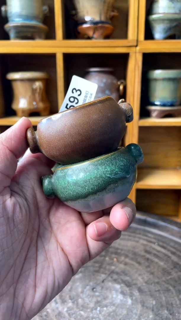 593【多肉花盆多肉盆】