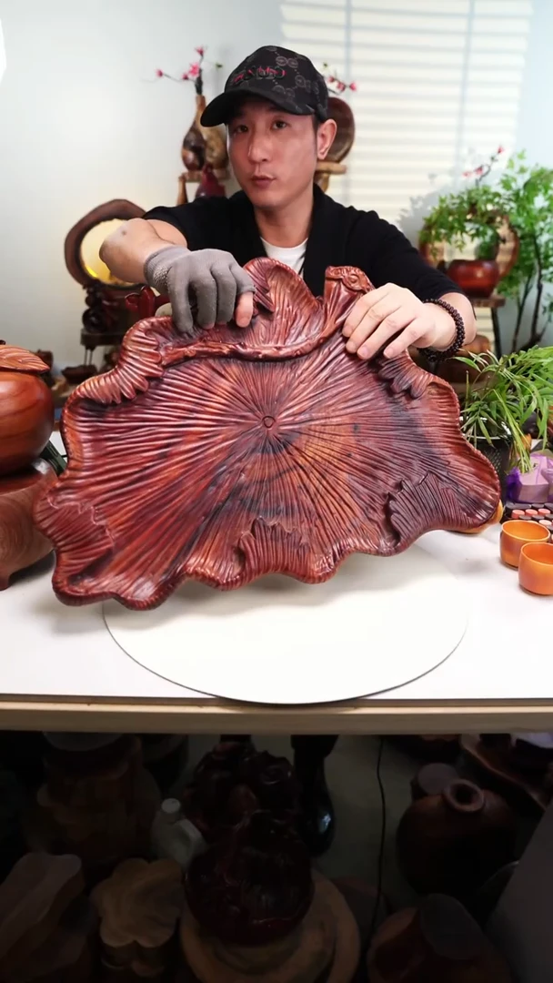 木香樟木摆件/莲蓬干泡盆50*38*4