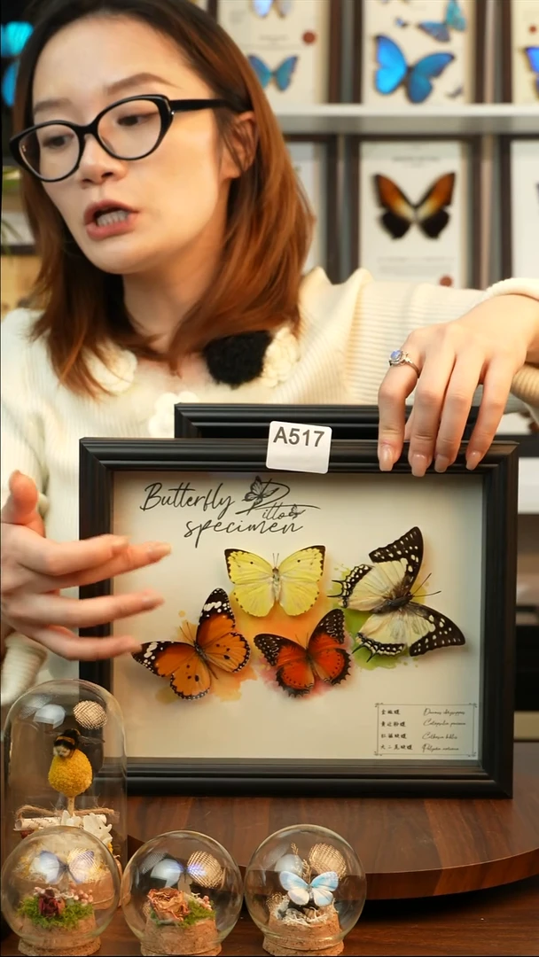 四色蝴蝶组合（10寸欧式黑框）A517