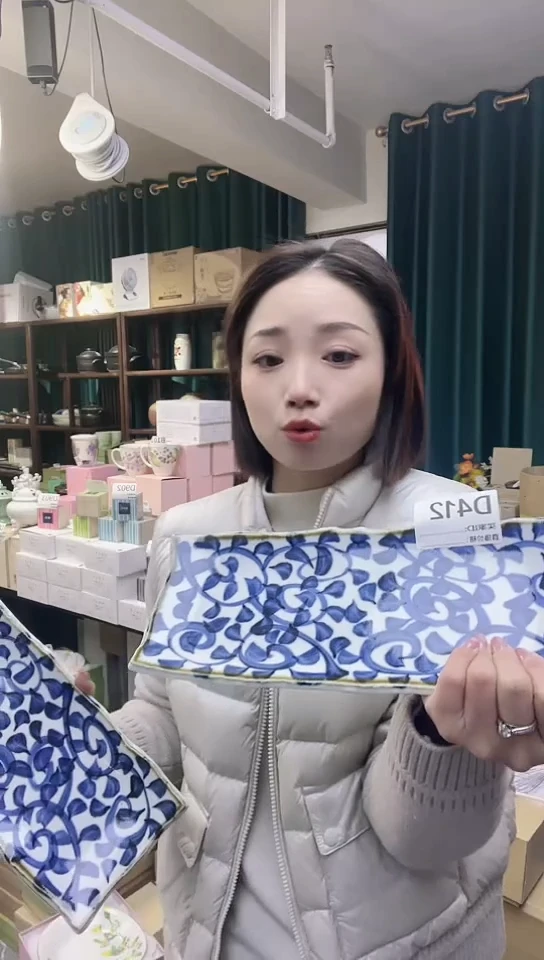 【闪购商品】瓷片日本进口瓷器章鱼唐草30cm长盘D412