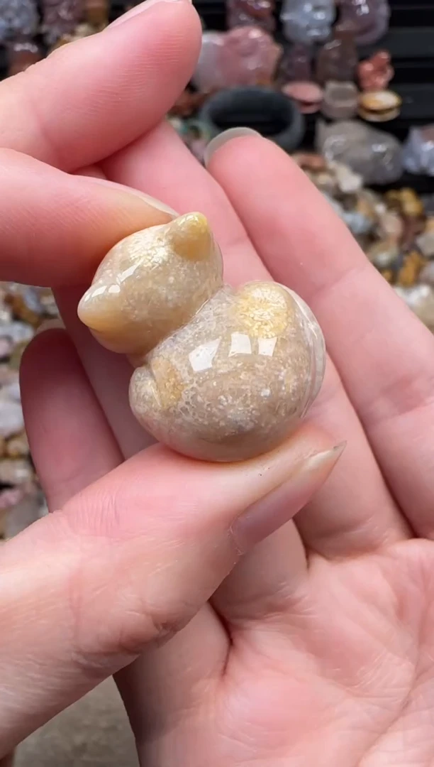 颈饰未镶嵌硅化珊瑚（珊瑚玉）020