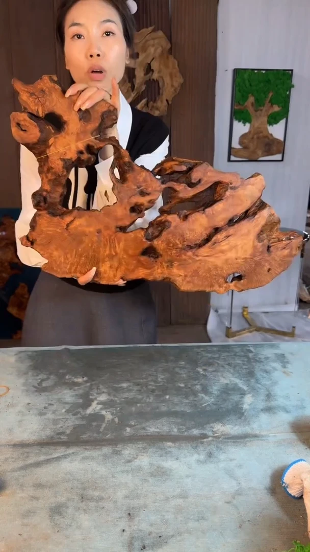 香杉木杉木瘤随型【原料】052