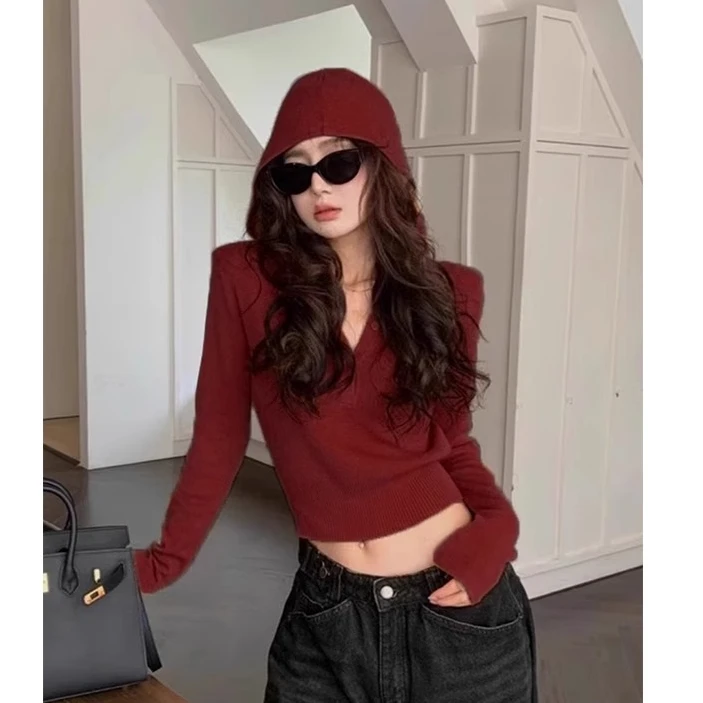 新款连帽针织打底衫女初秋修身短款毛衣卫衣设计感内搭上衣