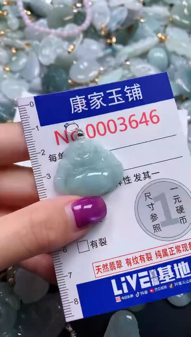 颈饰未镶嵌翡翠3646