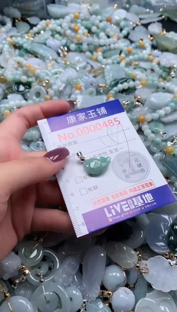 翡翠未镶嵌吊坠(不含链)485