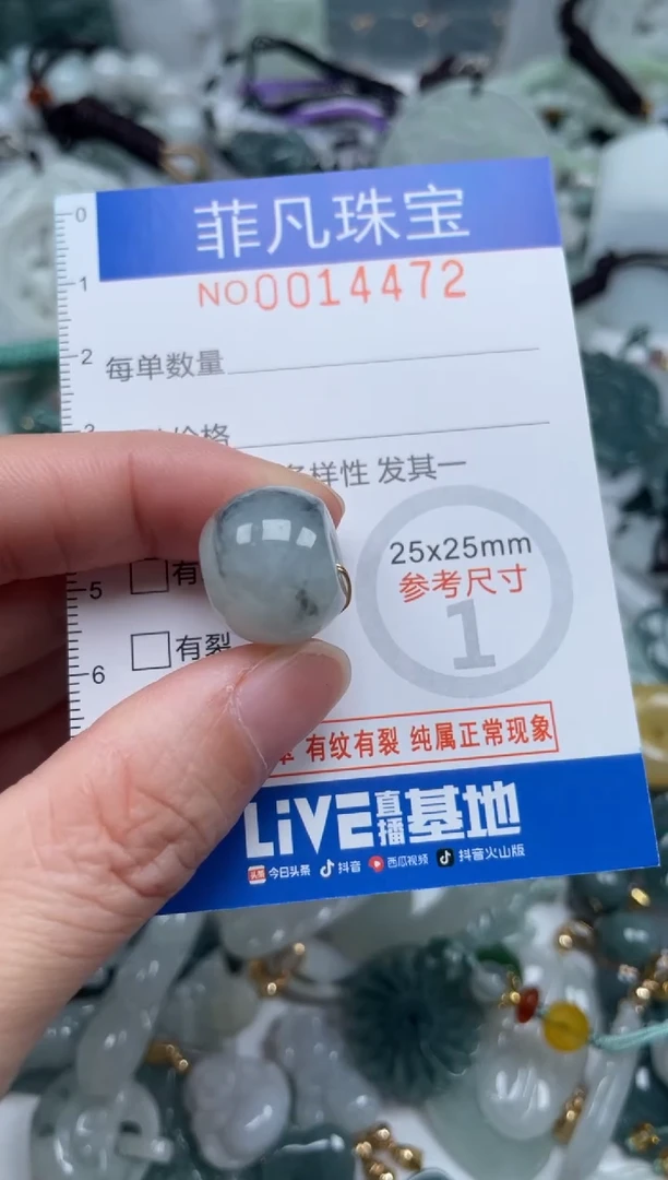 颈饰未镶嵌翡翠14472