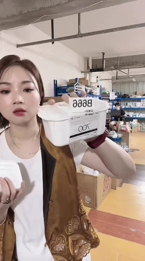 瓷片进口家用百货700ml保鲜盒两只B666