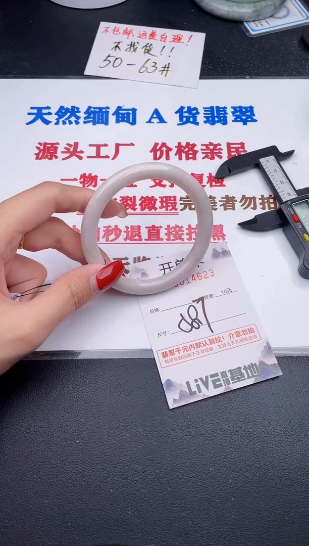 未镶嵌手镯翡翠23