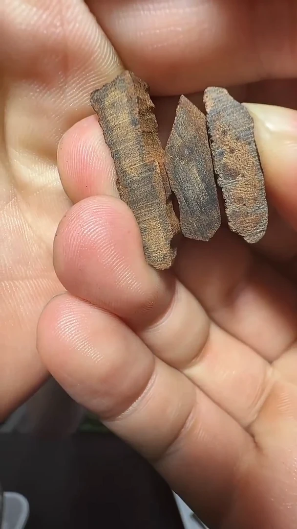 沉香沉香香囊1号文莱碎料拍一发三多样性发一