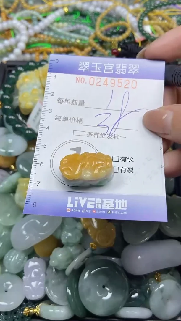 颈饰未镶嵌翡翠闪购C0249520