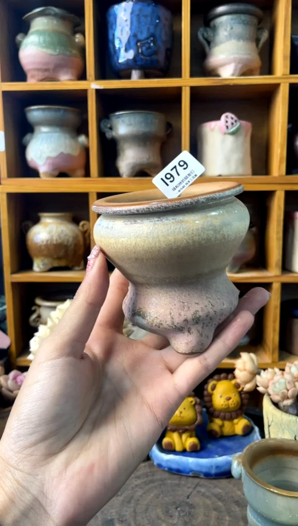 979内口6【多肉花盆多肉盆】